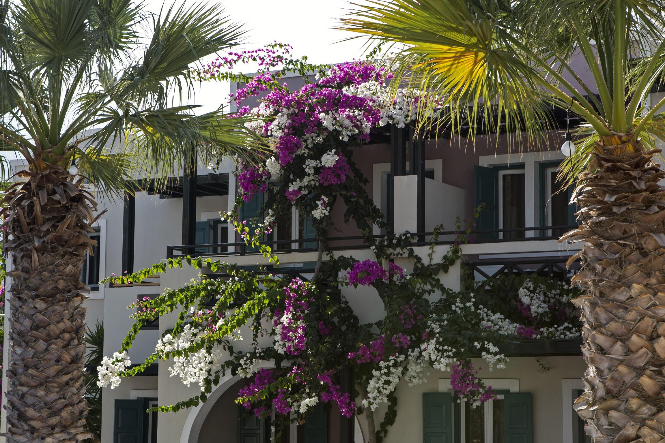 Rose Bay Hotel Καμάρι Εξωτερικό φωτογραφία