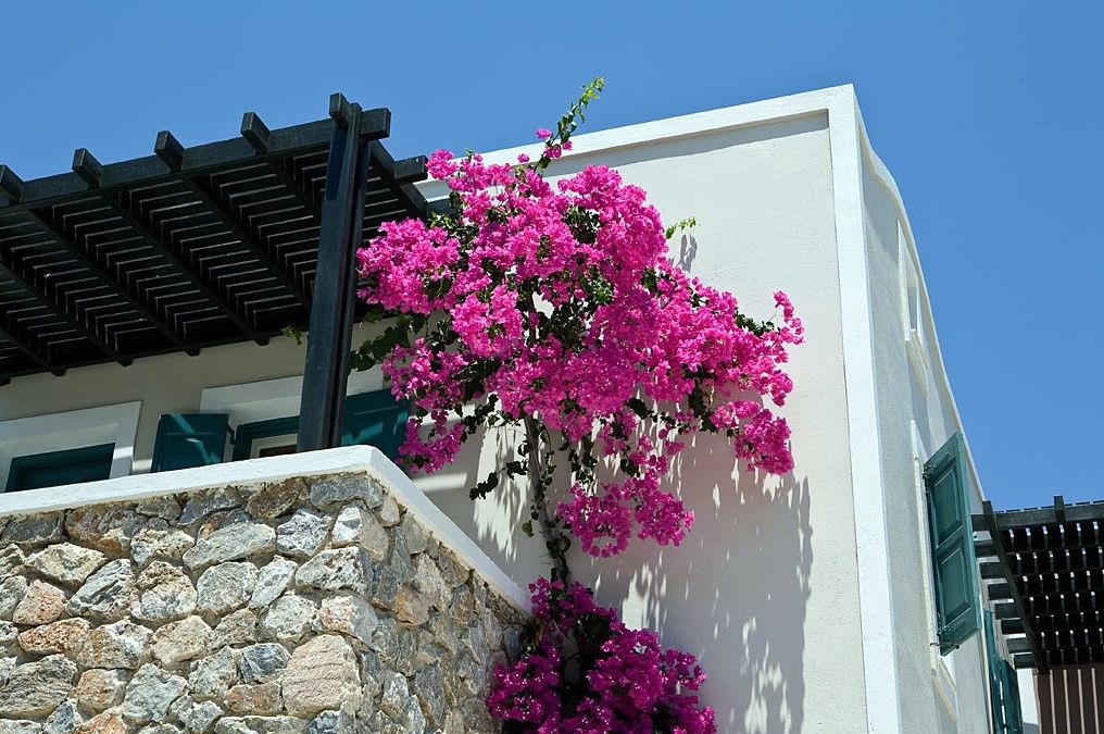 Rose Bay Hotel Καμάρι Εξωτερικό φωτογραφία
